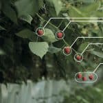 STMicroelectronics: quanta elettronica nell’agricoltura high-tech STMicroelectronics Agrifood