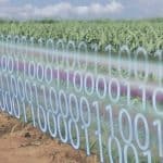 Smart Agrifood: un campo tutto da coltivare Smart Agrifood