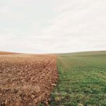 Consystem: soluzione Radar per misurazione di volumi e flussi consystem agrifood pixabay