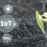 Lo Smart Agrifood nell’anno della pandemia smart agrifood