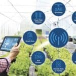 Sensori per l’agricoltura intelligente sensori