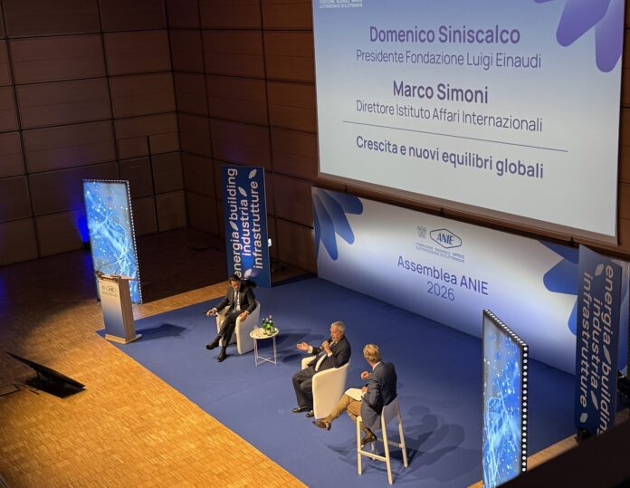 Assemblea ANIE